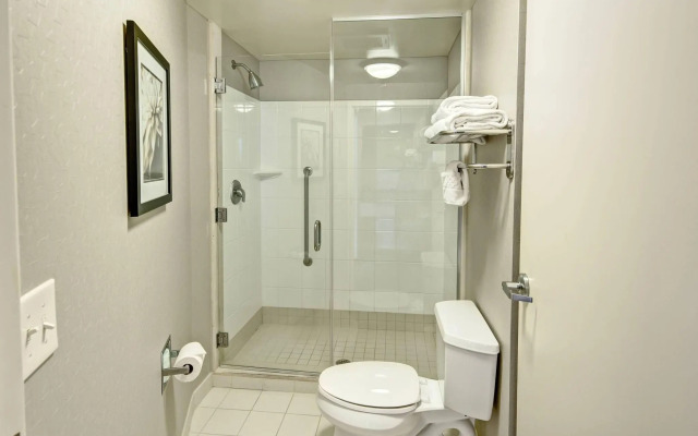 Springhill Suites by Marriott New Bern