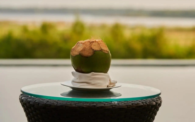 Sterling Palavelli Godavari