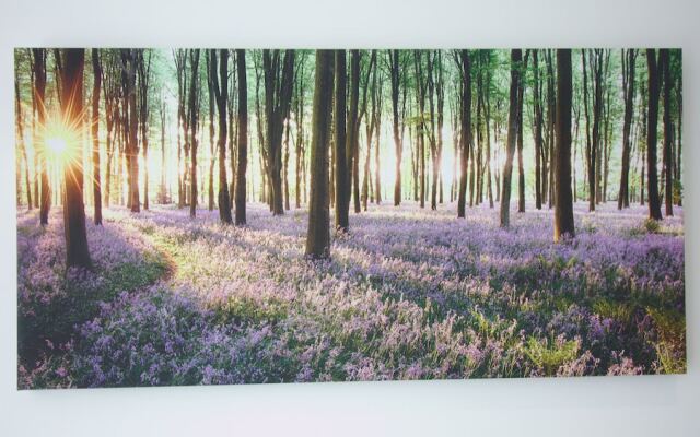 Property Peaks Apartments