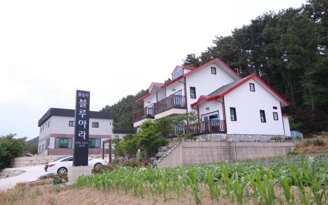 Uljin blue ara A pension