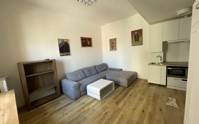 Red&Black Apartment City centr