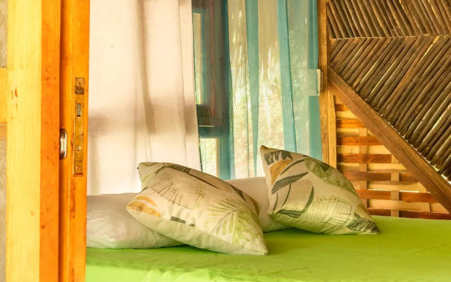 Magic Greeen Tayrona