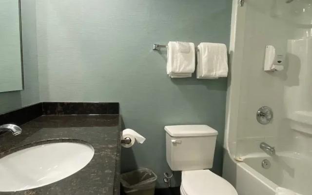 Americana Waterpark Resort and Spa