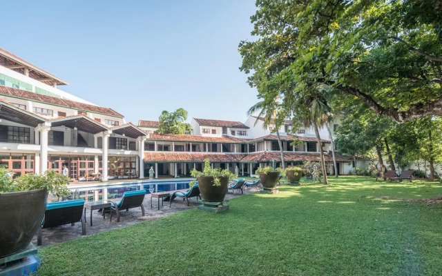 Palms, Mount Lavinia