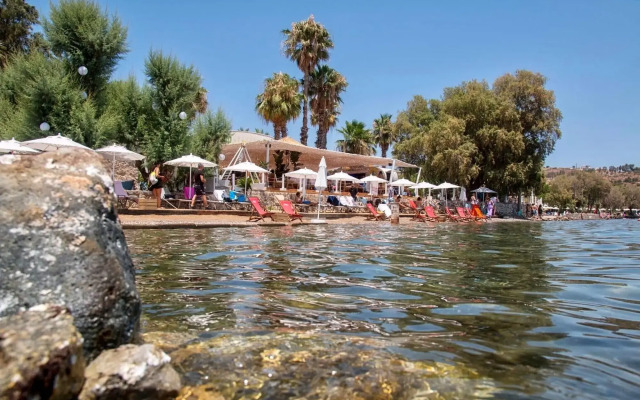 Savra Bodrum
