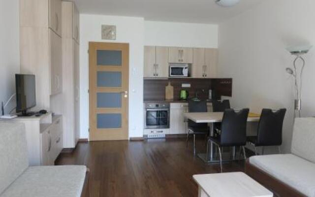 Apartment Medvědín 87