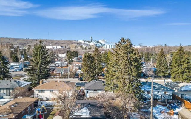 The Owl Petsok 3 Queenbd Firepit 3smarttvs