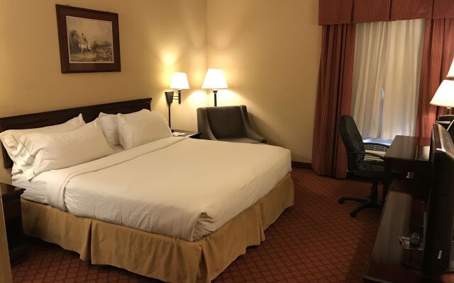 Holiday Inn Express Metropolis by IHG