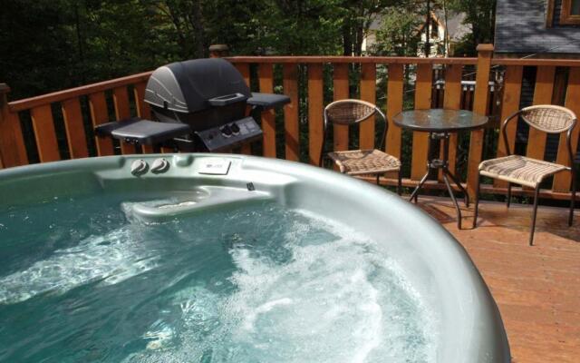 Chalet- 03 Chemin Alpin