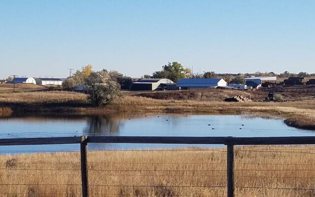 Drunk Duck Lodge