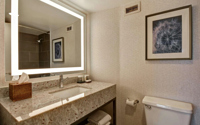 Embassy Suites by Hilton Minneapolis Airport