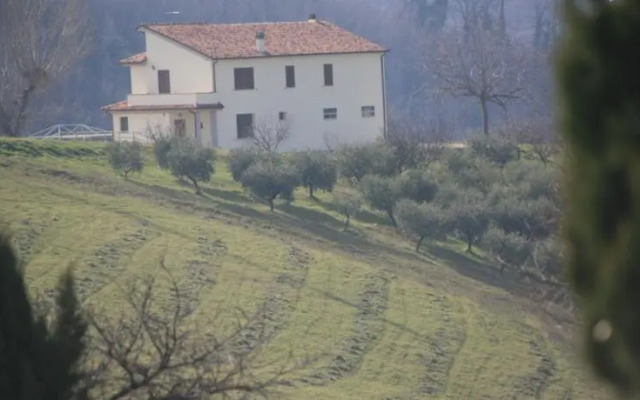 B&B La Collina Degli Ulivi