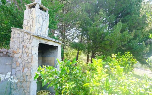 Ana - sea view - A1(2+1)