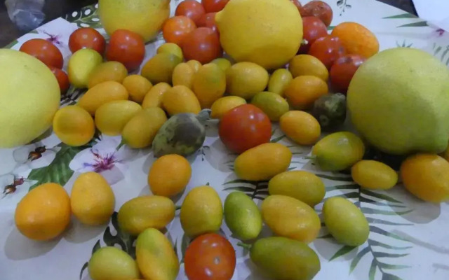 Limoux Riverside Gardens