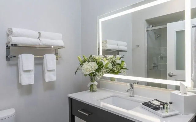 Element 29 Hotel