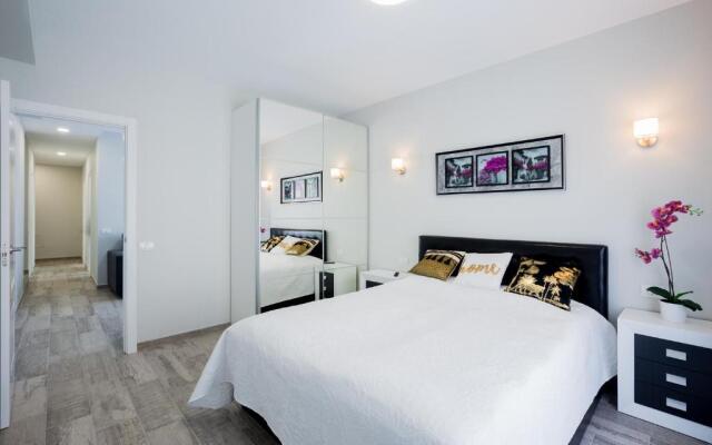 Palm Mar de LUX - Primavera C31