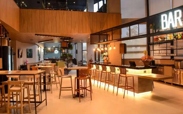 Ibis Tangara Da Serra