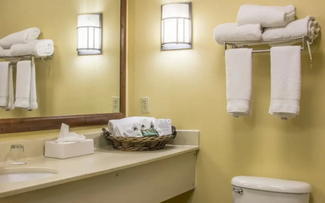 MCM Elegante Lodge & Suites Ruidoso