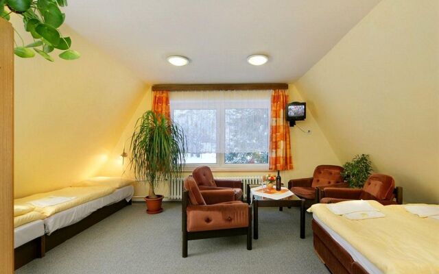 Hotel Stary Mlyn