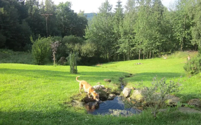 Penzion Medvídek
