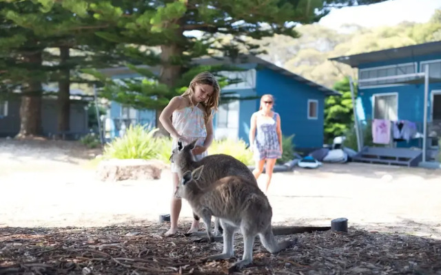 NRMA Murramarang Beachfront Holiday Resort