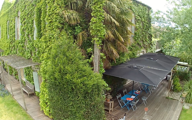 L'arbre Rouge