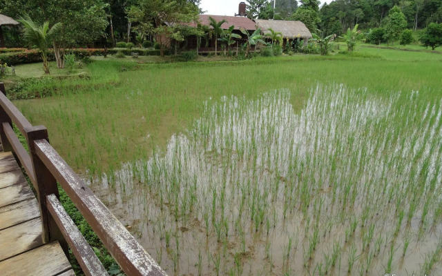Sheridan Organic Farm and Eco Village
