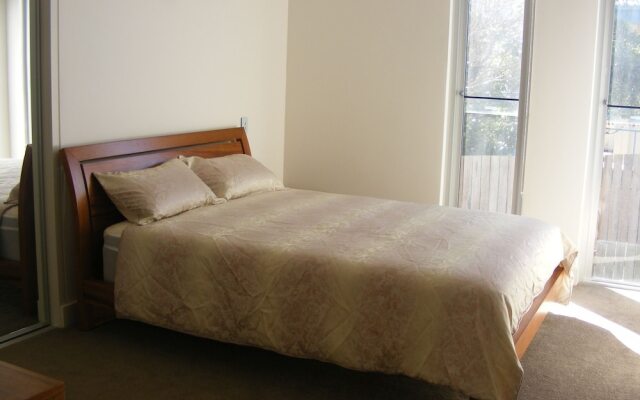 Dew on Lakeview Street