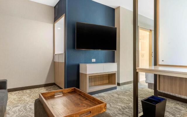 SpringHill Suites by Marriott Charlotte Southwest