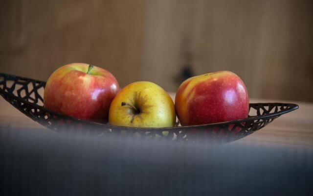 Appartements Bergheim St Andrä bei Brixen