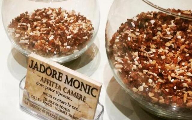Jadore Monic