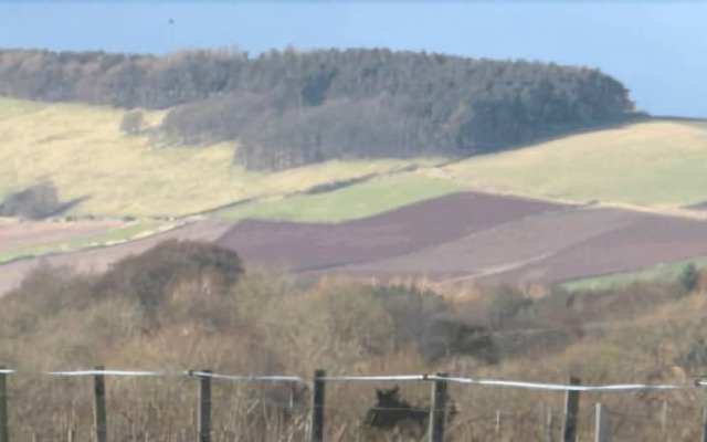 Fallady Bank Bed & Breakfast