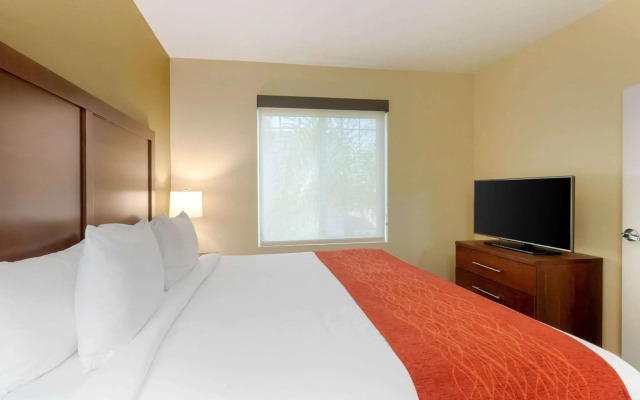 Comfort Inn & Suites near Ontario Airport