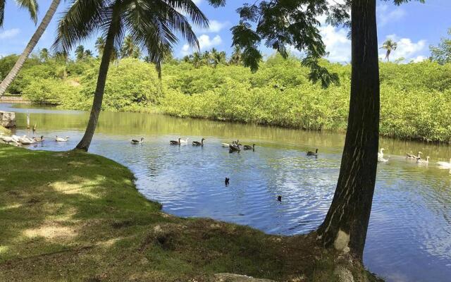 Eco Pousada Paraíso dos Coqueirais