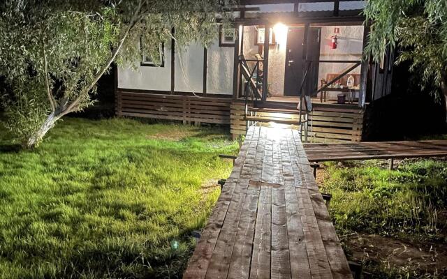 Седьмая жилка