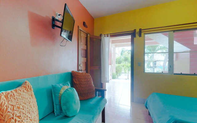 Saponaria 21-22 at Caribe Island Gold Standard Certified