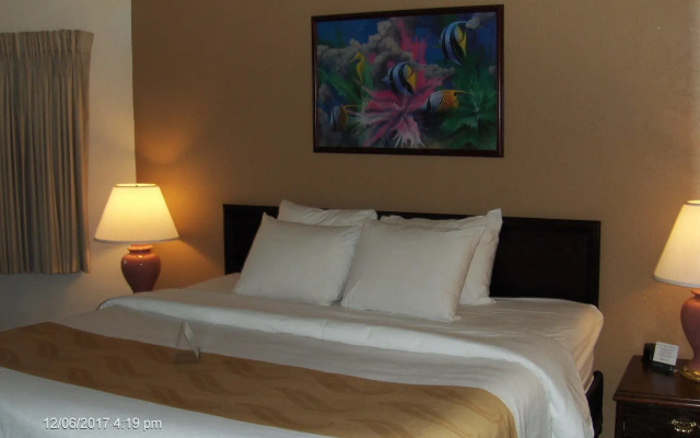 Quality Inn Port Angeles - near Olympic National Park
