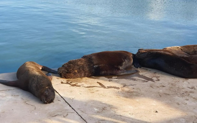 Maral -33- Mi Lugar en el Mundo