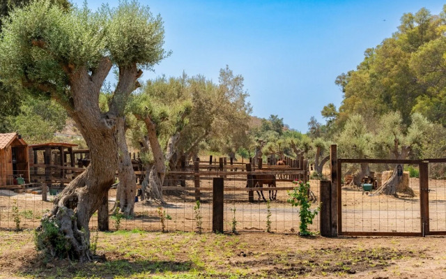 Appartamento Giove con Piscina by Wonderful Italy