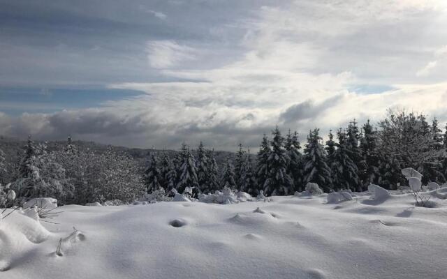 Guest House Lagotto's Peak