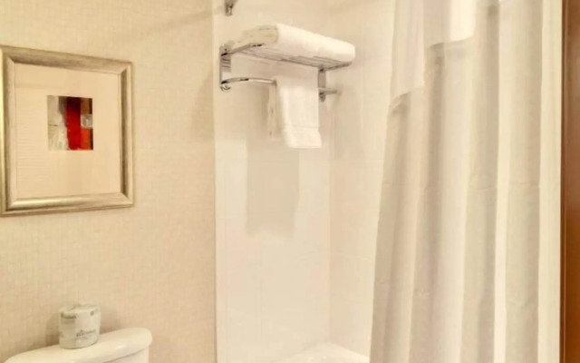 Holiday Inn Downtown - Mercy Area by IHG