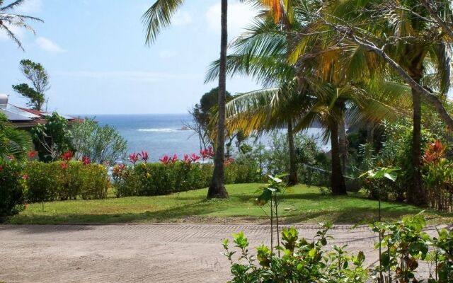 Sea Cliff Cottages