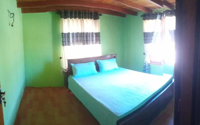 Dream wood villa 02