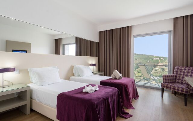 Delfim Douro Hotel