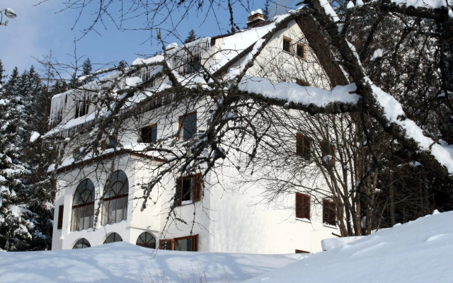 Villa Kostic Kopaonik