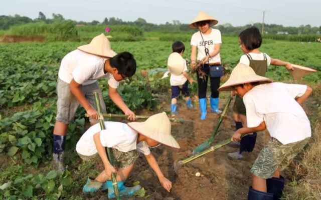Moon Garden Homestay