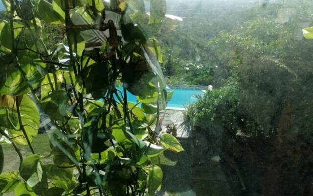 Relax Palace