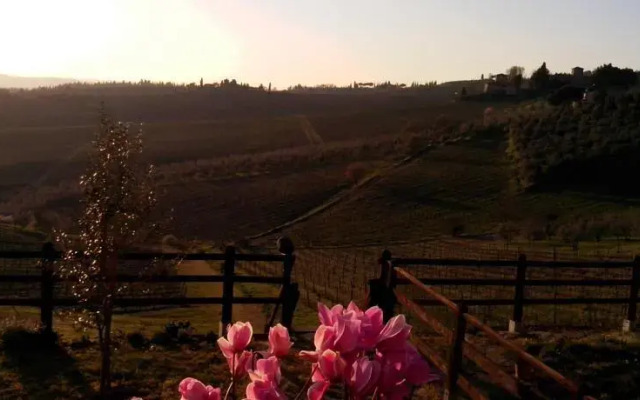 Immersi nella campagna Toscana
