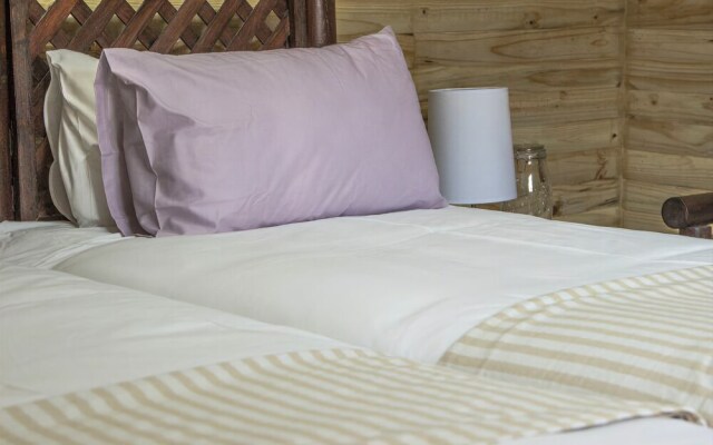 Silver Fig Guest House