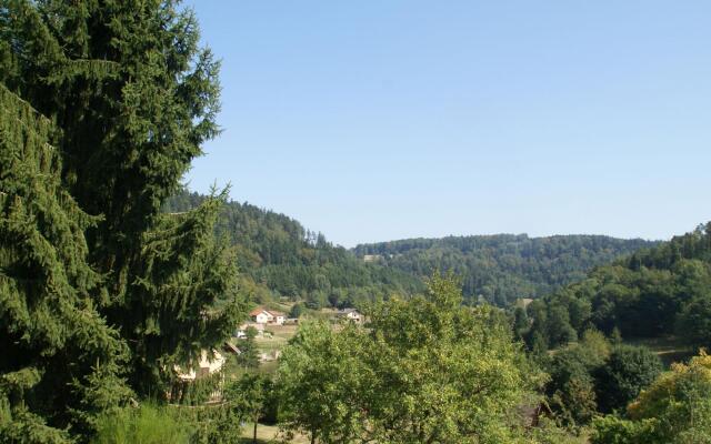 Charming Chalet in Ventron with Terrace